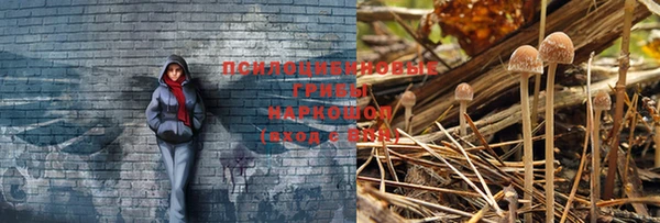 apvp Богородицк