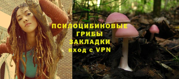 apvp Богородицк