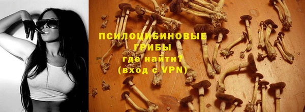 винт Горнозаводск